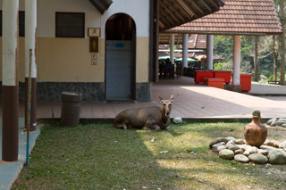 2016_02_14-18_Khao_Yai_Nationalpark_Thailand
