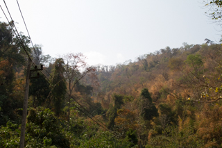 2016_02_14-18_Khao_Yai_Nationalpark_Thailand