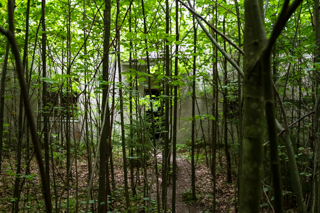 2016_07_21-23_Ostpreussen,_Wolfschanze,_Polen