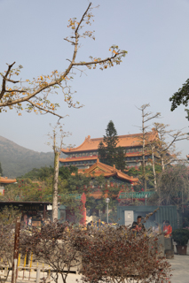 2017_01_08_Lantau_Island,_Hong_Kong