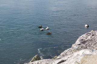 2017_02_25-26_Vik_Island