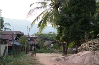 2018_01_08-12_Champasak,_Laos