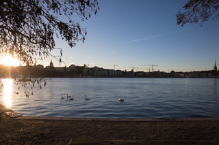 2019_01_Vinter_Stockholm