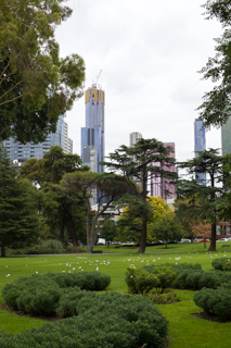2019_02_01-22_AusNZ_Preview