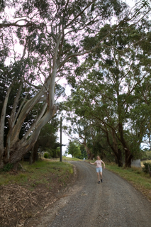 2019_02_06-09_Wilsons_Promontory