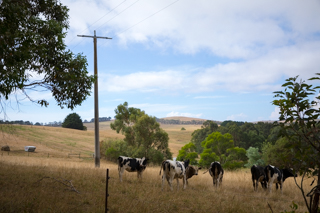 2019_02_06-09_Wilsons_Promontory