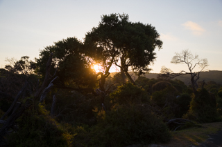 2019_02_06-09_Wilsons_Promontory