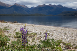 2019_02_11-13_Te_Anau