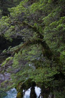 2019_02_11_Milford_Sound