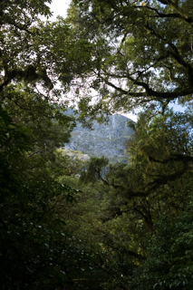 2019_02_11_Milford_Sound