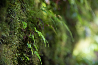 2019_02_11_Milford_Sound