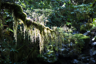 2019_02_11_Milford_Sound