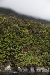 2019_02_11_Milford_Sound