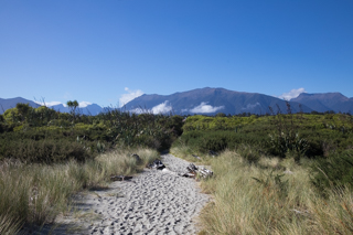 2019_02_15_Mot_Fox_Glacier