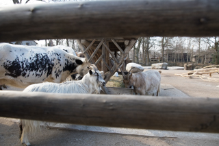 2019_04_06_Skansen