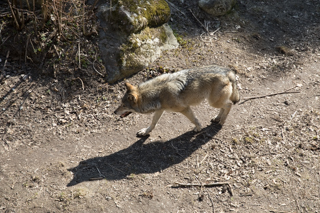 2019_04_06_Skansen