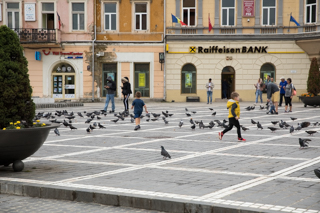 2019_07_13-16_Brasov,_Romania