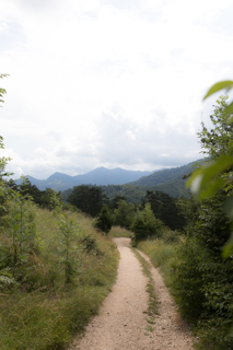 2019_07_13-16_Brasov,_Romania