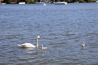 2020_05_31_Bergendalska,_Drottningholm