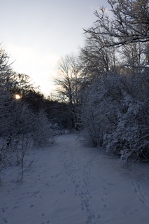 2023_12_24_Julafton