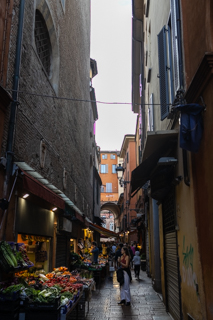2024_05_06-11_Bologna,_Italy