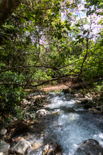 2025_02_11_Parque_Nacional_Rincon_de_la_Vieja,_Costa_Rica