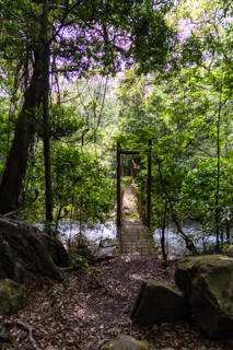 2025_02_11_Parque_Nacional_Rincon_de_la_Vieja,_Costa_Rica