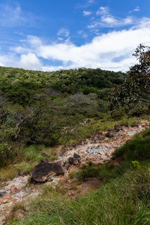 2025_02_11_Parque_Nacional_Rincon_de_la_Vieja,_Costa_Rica