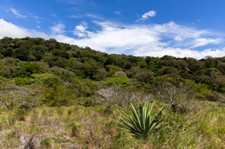 2025_02_11_Parque_Nacional_Rincon_de_la_Vieja,_Costa_Rica