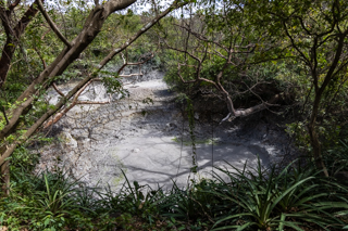 2025_02_11_Parque_Nacional_Rincon_de_la_Vieja,_Costa_Rica