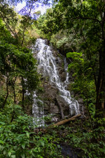 2025_02_11_Parque_Nacional_Rincon_de_la_Vieja,_Costa_Rica