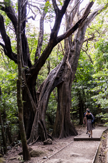 2025_02_11_Parque_Nacional_Rincon_de_la_Vieja,_Costa_Rica