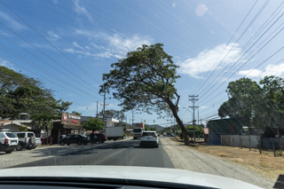 2025_02_13_Diria_Coffe_Plantation,_Costa_Rica