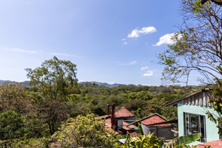 2025_02_13_Diria_Coffe_Plantation,_Costa_Rica