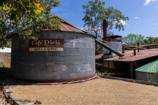 2025_02_13_Diria_Coffe_Plantation,_Costa_Rica