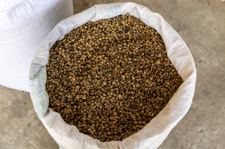 2025_02_13_Diria_Coffe_Plantation,_Costa_Rica