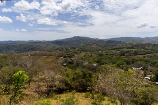 2025_02_13_Diria_Coffe_Plantation,_Costa_Rica