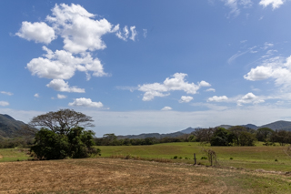 2025_02_13_Diria_Coffe_Plantation,_Costa_Rica