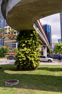 2025_02_19-26,_Panama_City