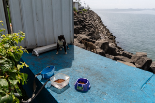 2025_02_19-26,_Panama_City