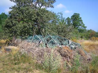 Batteri_Ellenabben_7,5_cm_m57_serie_III,_Blekinge_(2006-07-22,_2006-07-27)