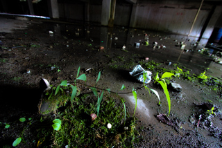 Derelict_construction_site,_Malaysia_(2010-07-01)