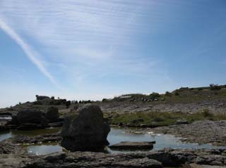 Enholmen,_Gotland_(2007-08-06)