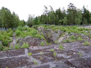 Vabergsfortet,_Norra_(2007-06-16)